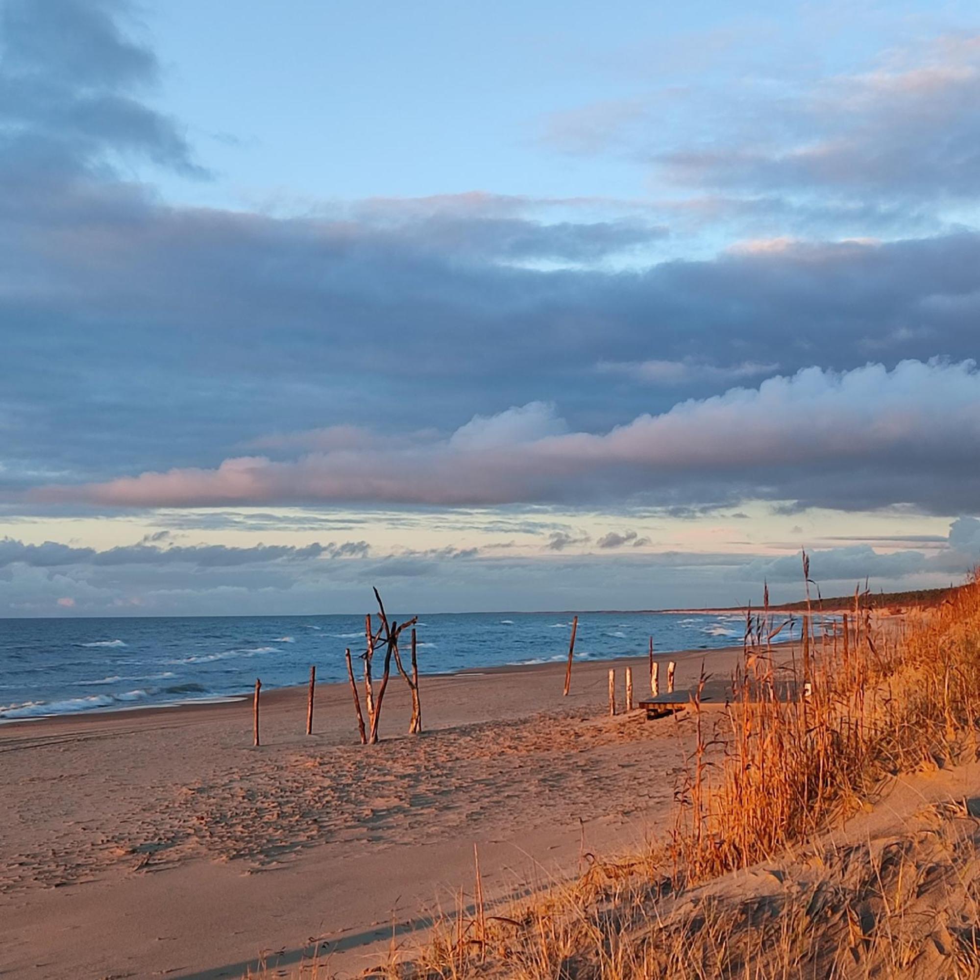 Geltoni apartamentai Palanga Esterno foto