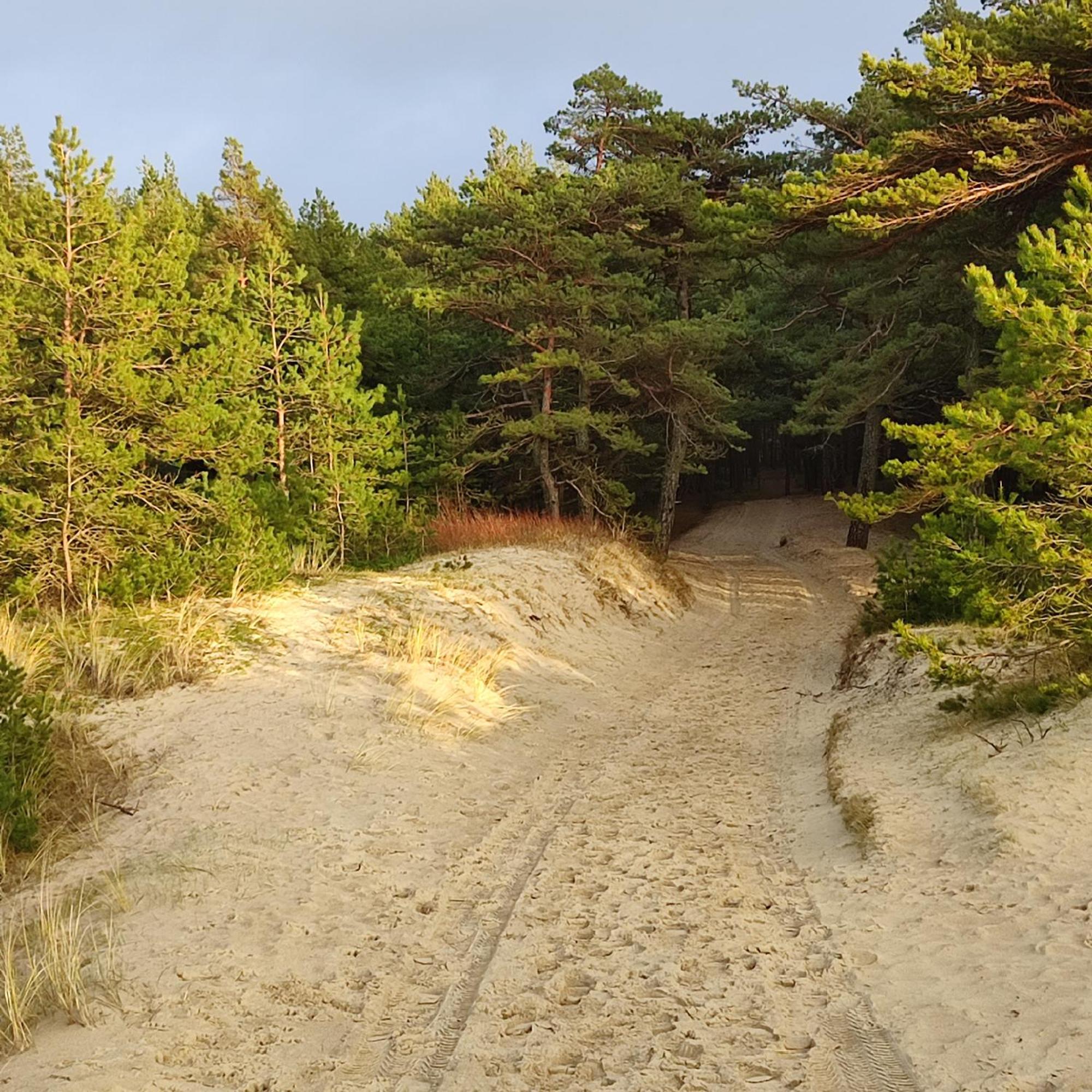Geltoni apartamentai Palanga Esterno foto